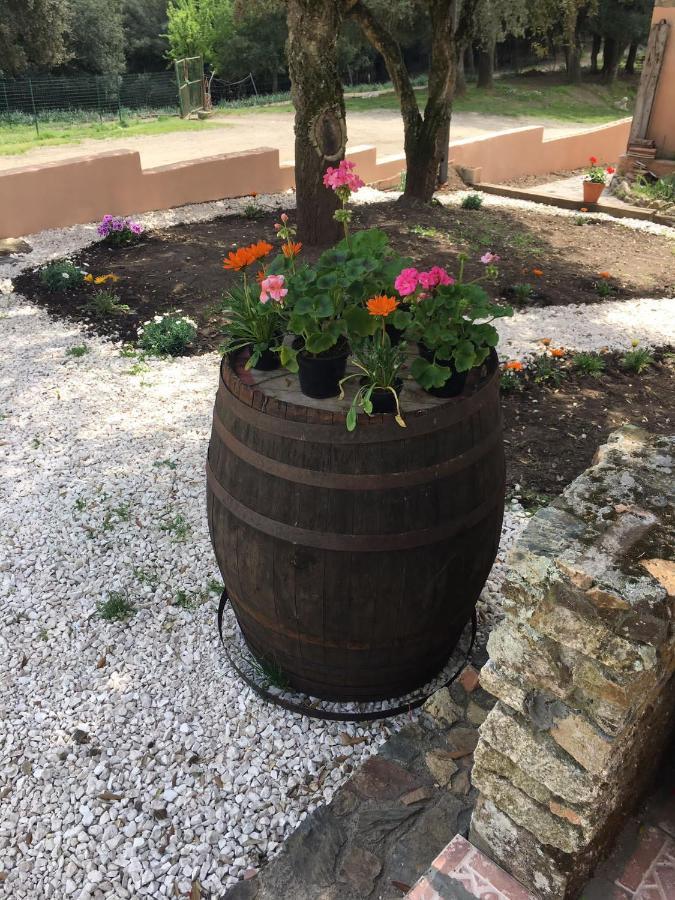 Azienda Agrituristica S'Argalasi - B&B - Affittacamere Loc S'Argalasi Austis Экстерьер фото