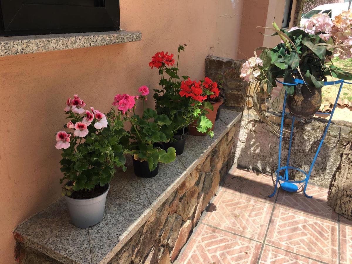 Azienda Agrituristica S'Argalasi - B&B - Affittacamere Loc S'Argalasi Austis Экстерьер фото